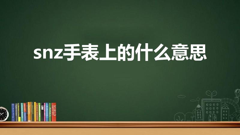 snz手表上的什么意思（卡西欧snz什么意思）