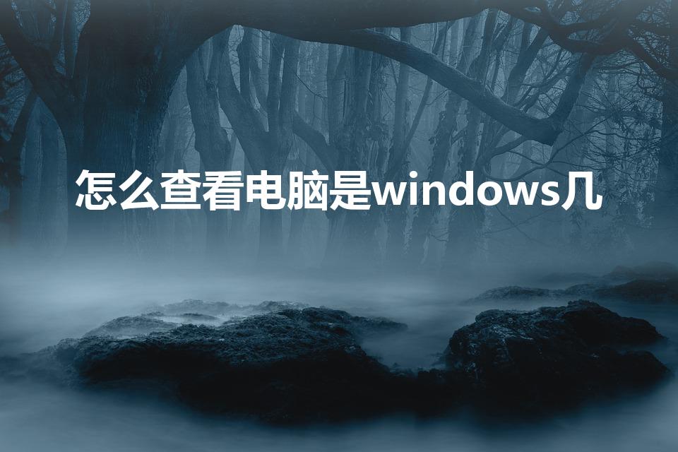 怎么查看电脑是windows几（怎么看电脑是win几）