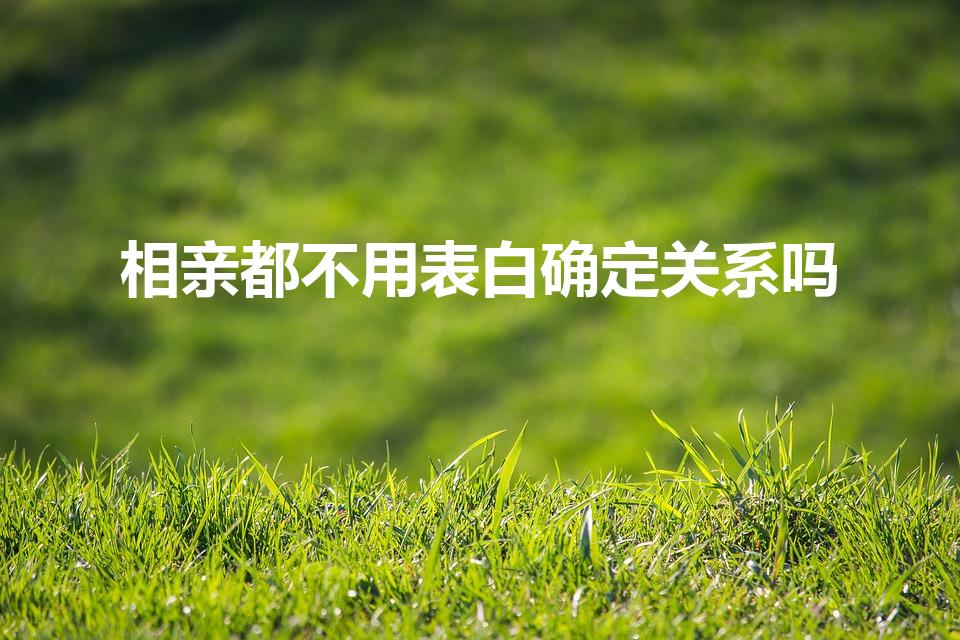 相亲都不用表白确定关系吗（相亲一定要表白吗）