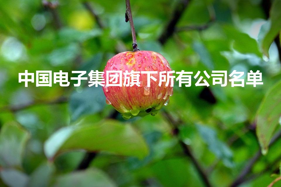 中国电子集团旗下所有公司名单