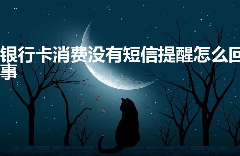 银行卡消费没有短信提醒怎么回事（银行卡突然没了短信提醒）