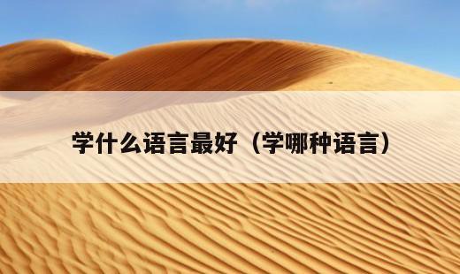 学什么语言最好？学哪种语言