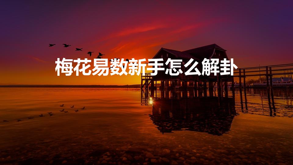 梅花易数新手怎么解卦（命理风水解说:梅花易数解卦方法）