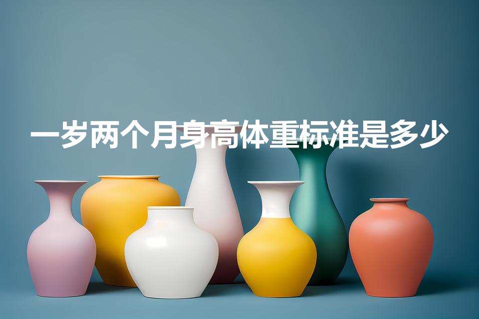 一岁两个月身高体重标准是多少（一岁两个月宝宝身高体重）