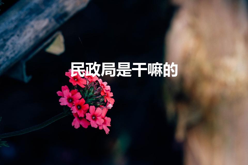 民政局是干嘛的（民政局是做什么工作的单位）
