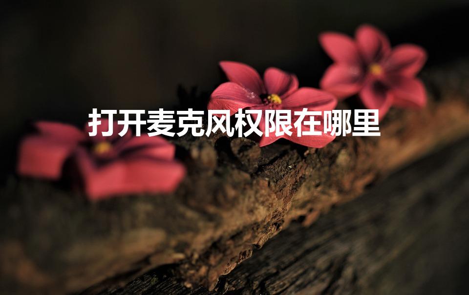 打开麦克风权限在哪里（电脑麦克风权限在哪里开启）