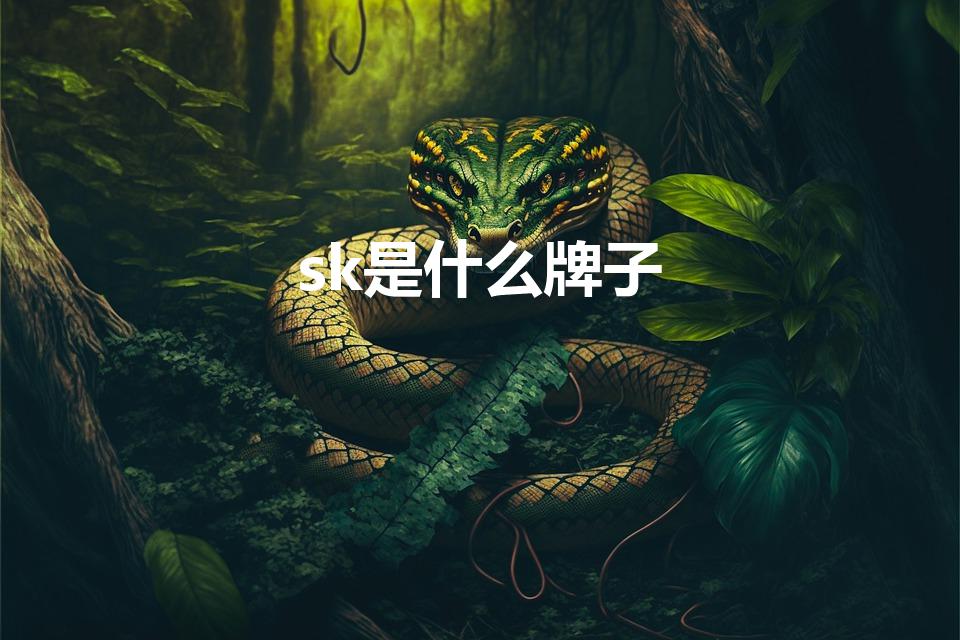 sk是什么牌子（sk-ii是什么牌子的化妆品）