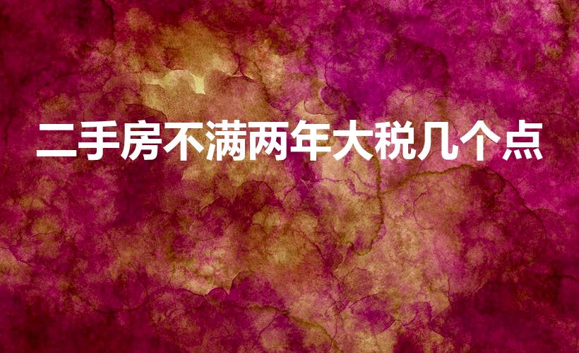 二手房不满两年大税几个点（二手房未满两年税费怎么算）