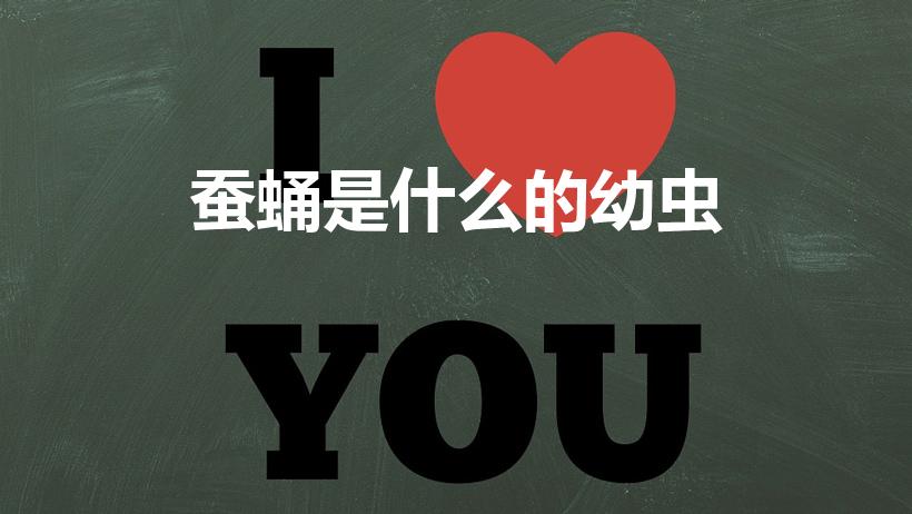 蚕蛹是什么的幼虫（蚕蛹是什么虫子变的）