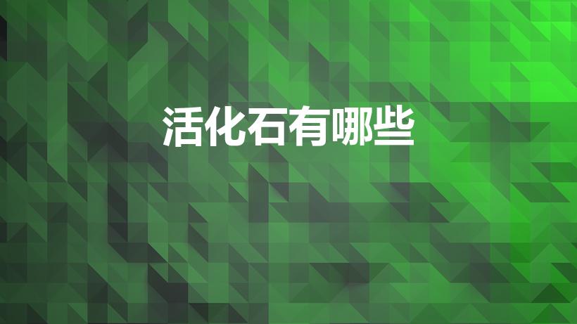 活化石有哪些（中国有哪些活化石）