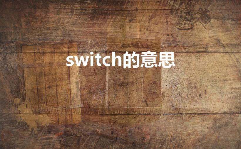 switch的意思（switch是什么意思）