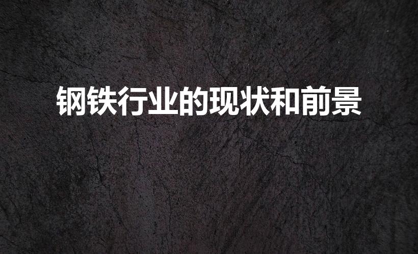 钢铁行业的现状和前景（钢铁行业的现状）