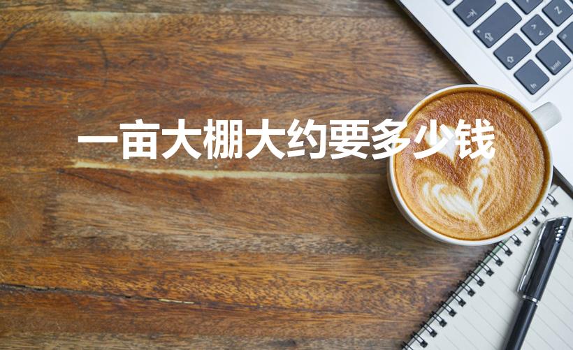 一亩大棚大约要多少钱（种菜大棚一亩地投资多少利润多少）