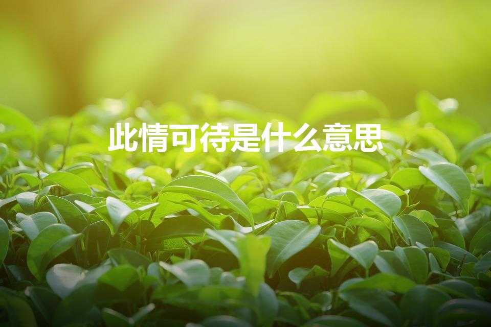 此情可待是什么意思（此情可待什么意思）