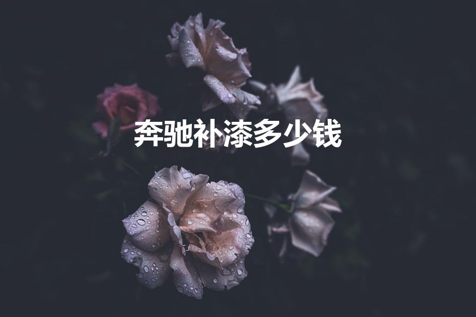 奔驰补漆多少钱（奔驰蹭掉一点漆 补要多少钱大概）