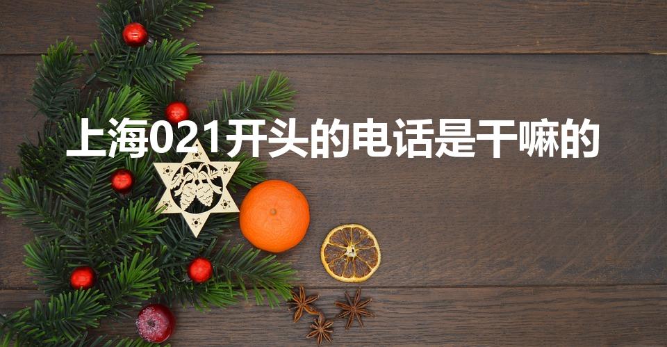 上海021开头的电话是干嘛的（021开头的电话是哪里的）