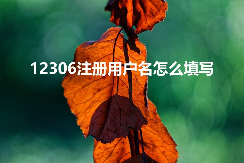 12306注册用户名怎么填写（12306的用户名怎么填）