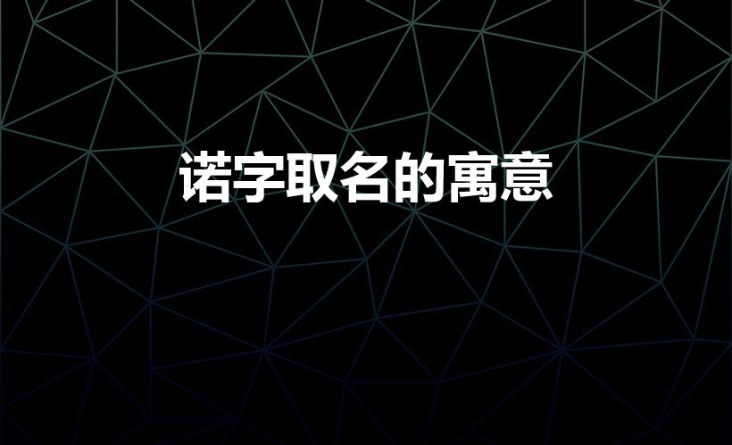 诺字取名的寓意（诺字取名的寓意是什么）