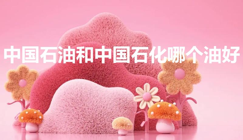 中国石油和中国石化哪个油好（中石油和中石化哪个油品好）