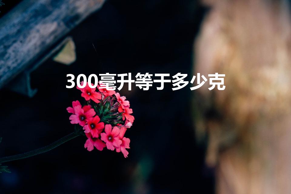 300毫升等于多少克（300ml是多少克）