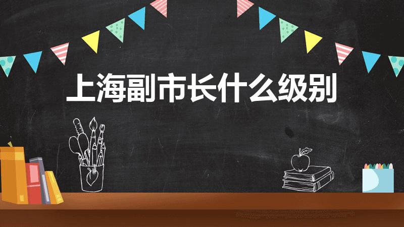 上海副市长什么级别（上海是市委副书记级别）