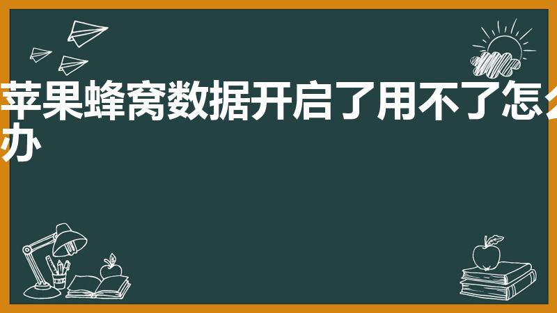 苹果蜂窝数据开启了用不了怎么办