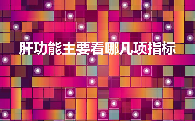 肝功能主要看哪几项指标（肝功能化验单的主要指标）