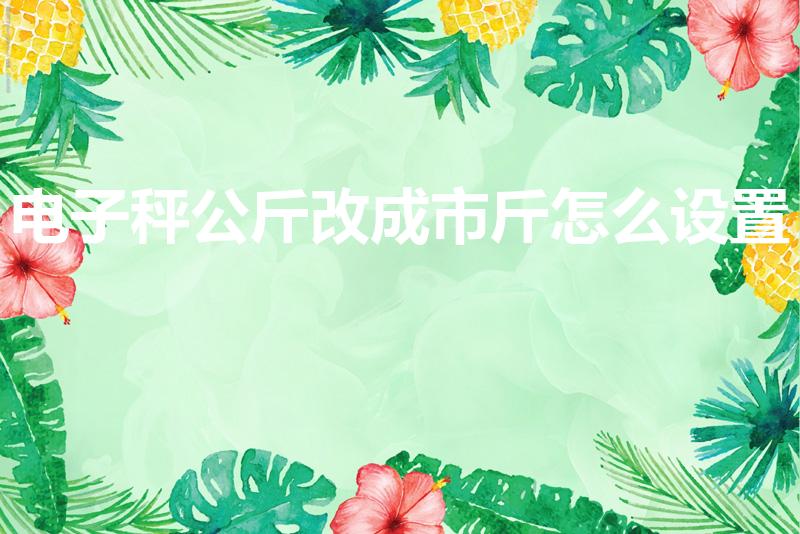 电子秤公斤改成市斤怎么设置（电子秤公斤怎么调市斤）