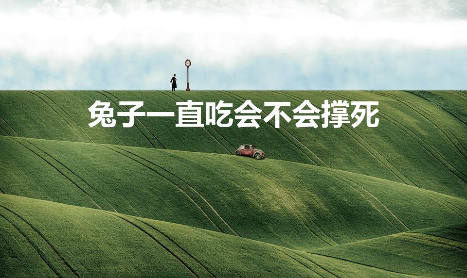 兔子一直吃会不会撑死（如果兔子吃撑到了会死吗）