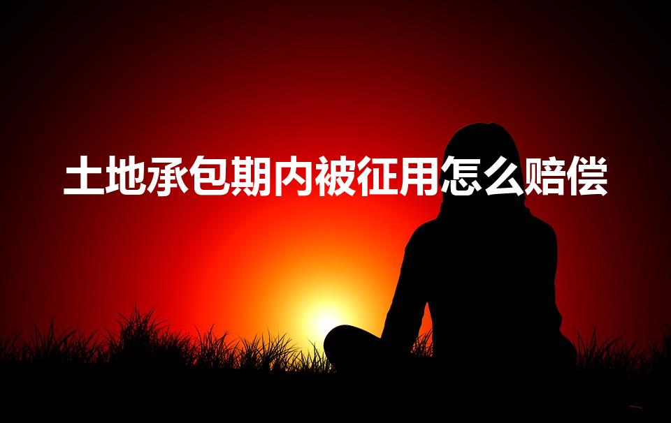 土地承包期内被征用怎么赔偿（承包期内土地被征用）
