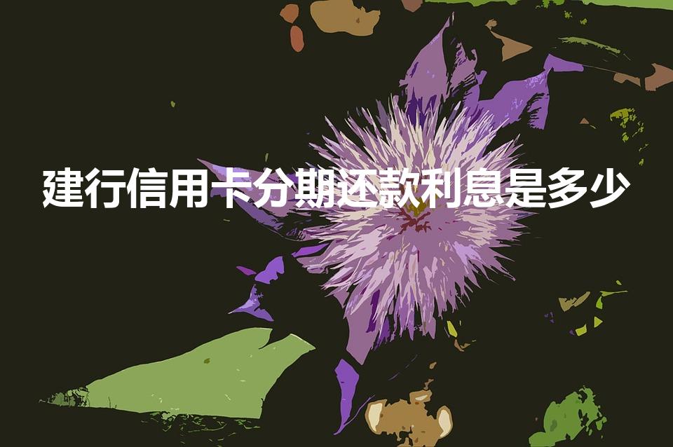 建行信用卡分期还款利息是多少（建行信用卡分期利息是多少）