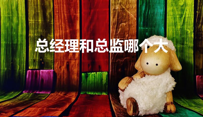 总经理和总监哪个大（总监和总经理谁大）