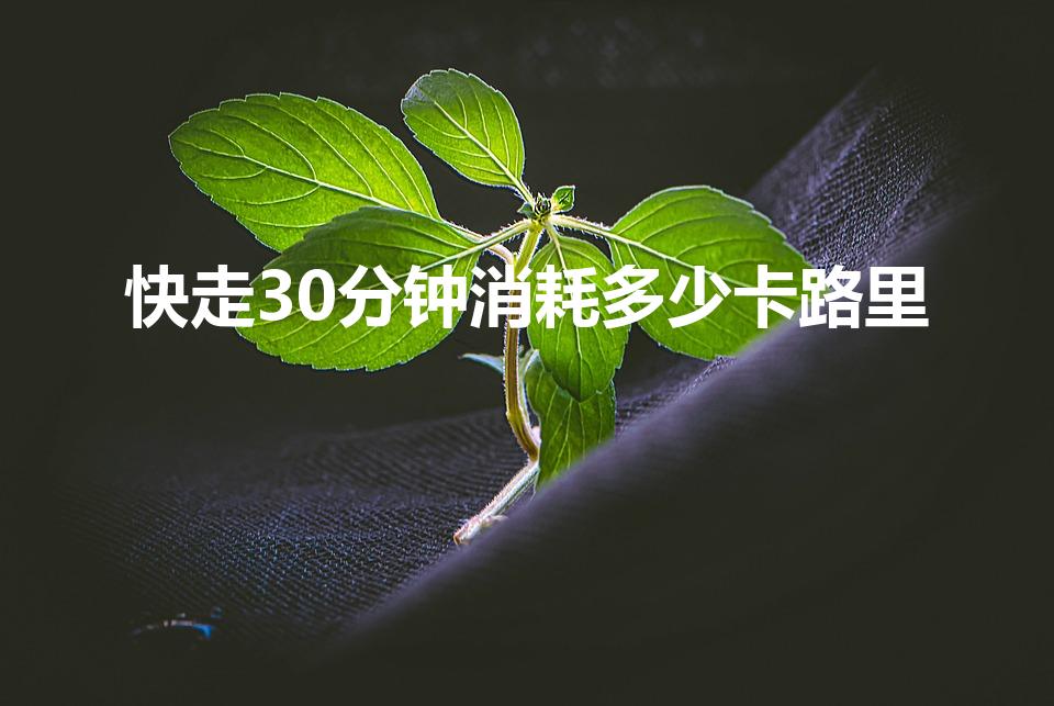 快走30分钟消耗多少卡路里（快走可以消耗多少热量）