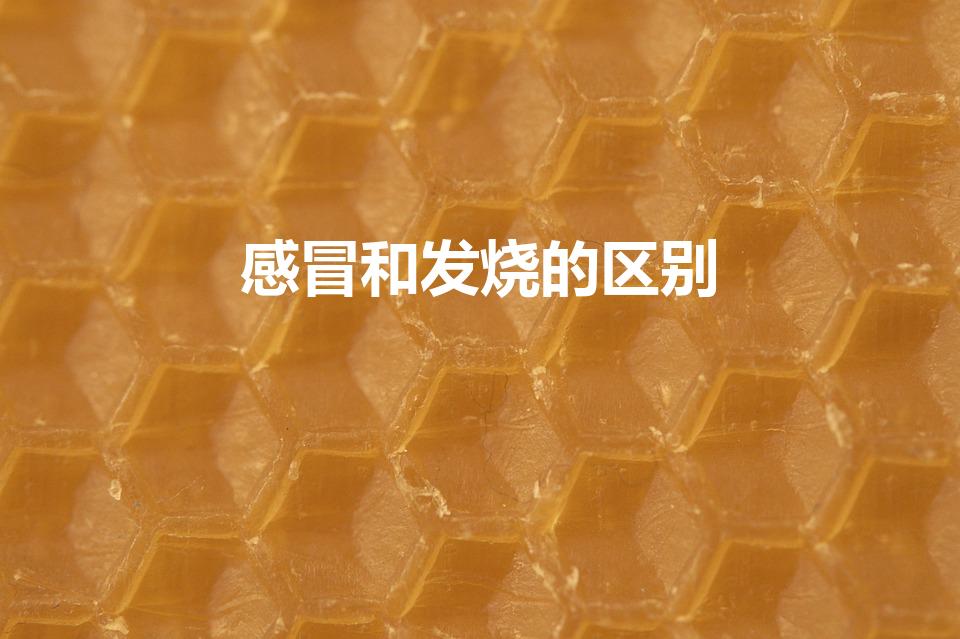 感冒和发烧的区别（感冒 和发烧怎么区分）