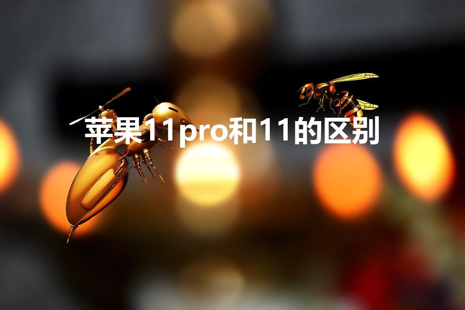 苹果11pro和11的区别（苹果11和11pro的区别）