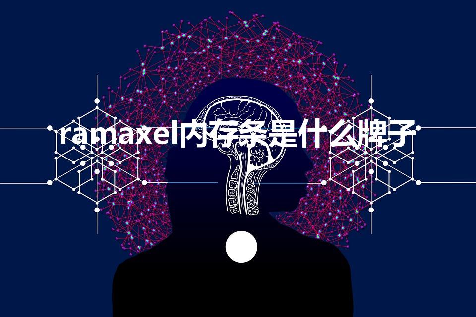 ramaxel内存条是什么牌子
