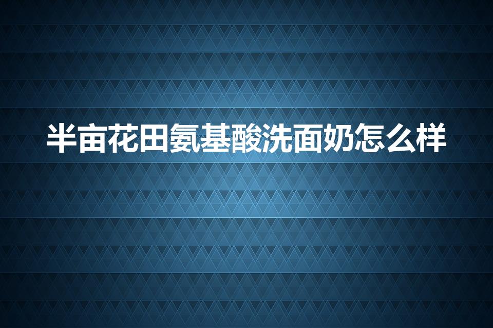 半亩花田氨基酸洗面奶怎么样？使用体验与功效评测