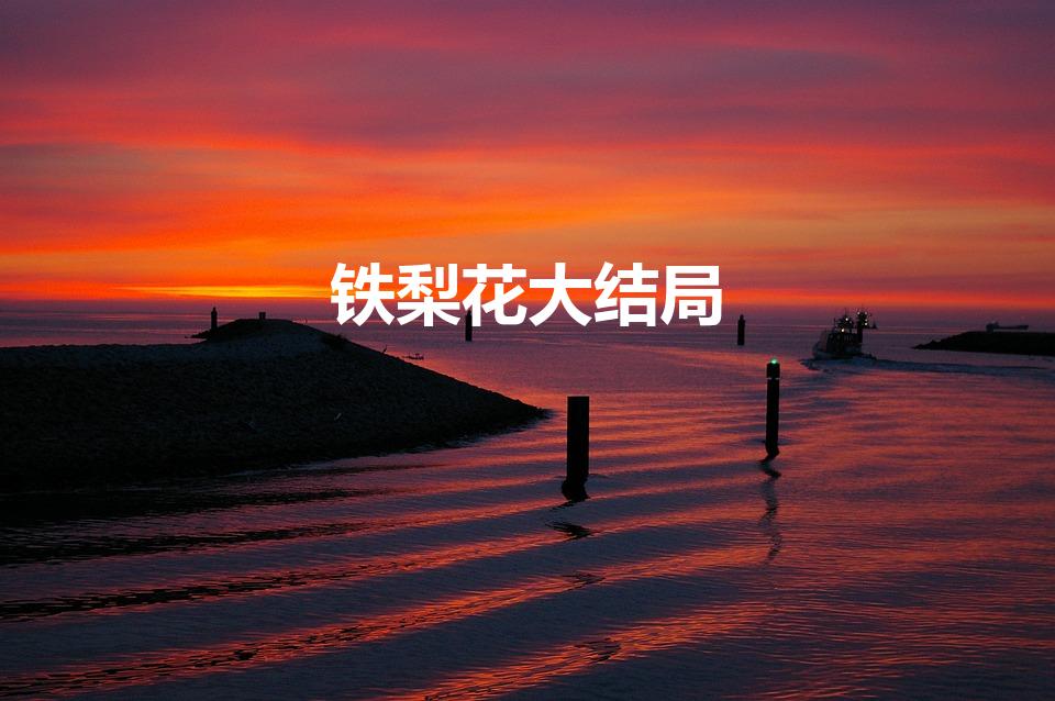 铁梨花大结局（铁梨花的人物结局）