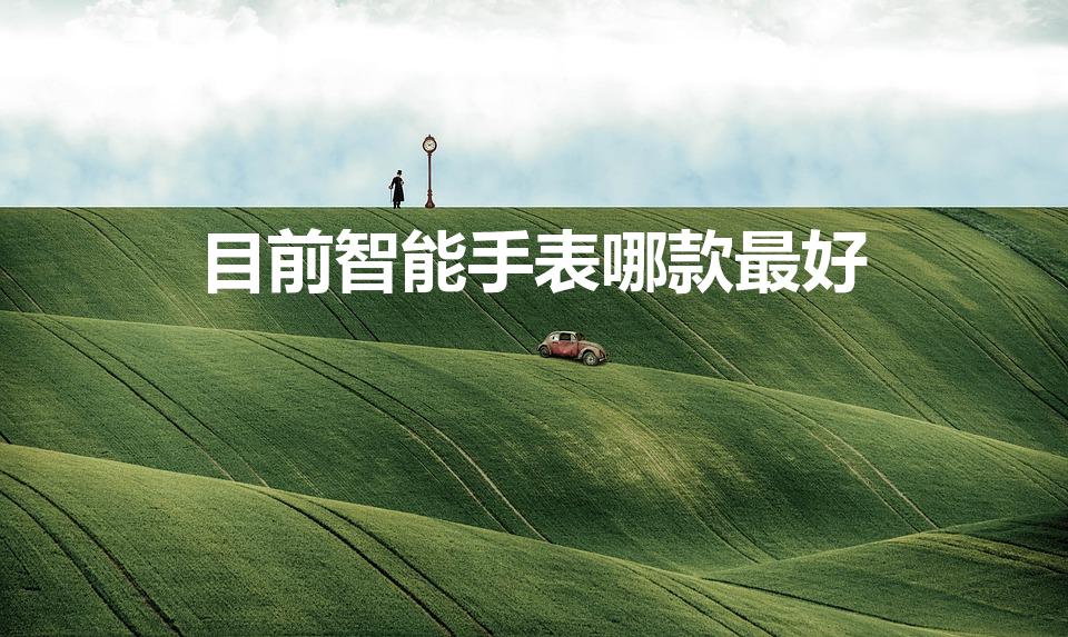 目前智能手表哪款最好（哪个牌子的智能手表好）