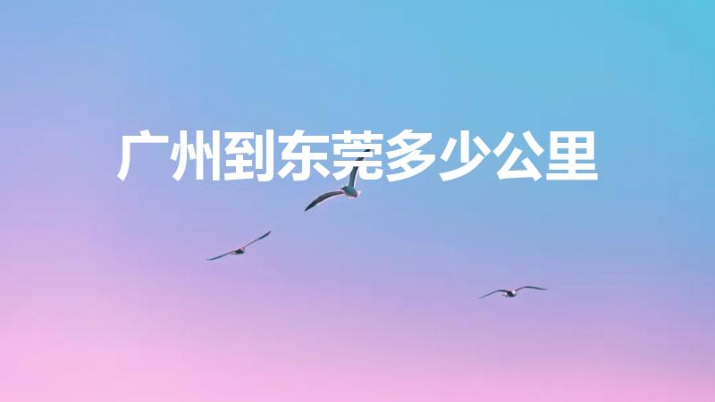 广州到东莞多少公里（东莞和广州距离有多远）