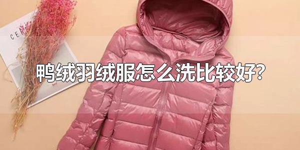 家洗羽绒服正确方法（清洗羽绒服的正确步骤）