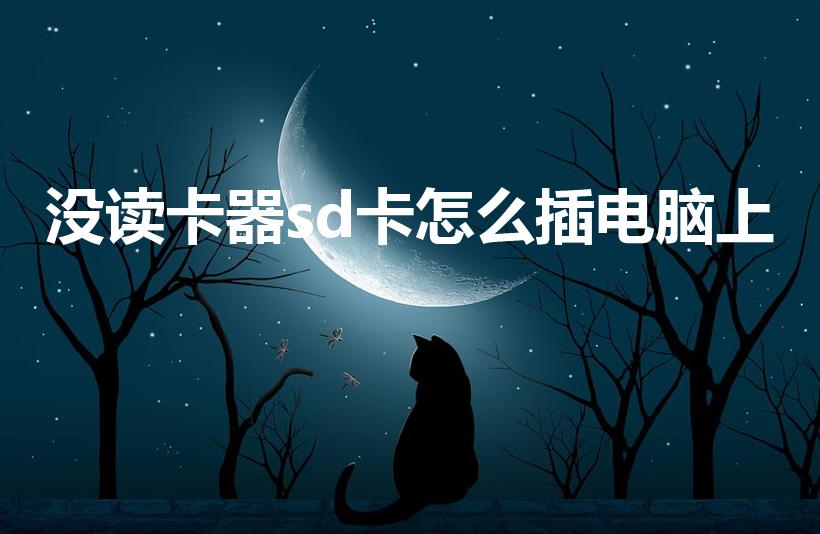 没读卡器sd卡怎么插电脑上（sd卡怎么插电脑上）