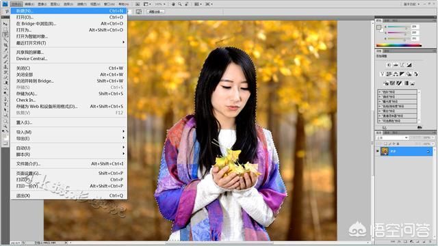 ps如何在背景图上插入图片(手机怎么把图片嵌入到另一张图片)