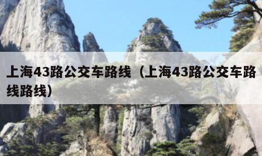 上海43路公交车路线？上海43路公交车路线路线