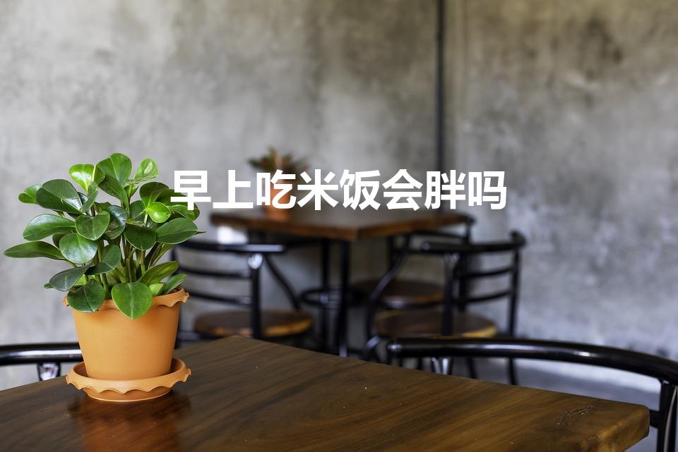 早上吃米饭会胖吗（多吃米饭会长胖吗）