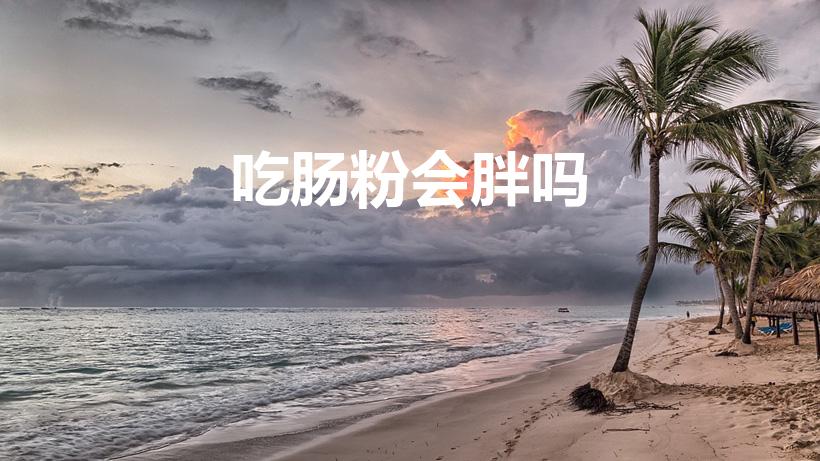 吃肠粉会胖吗（肠粉适合减肥吃吗 肠粉的热量高不高）