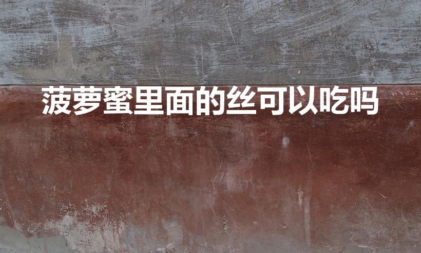 菠萝蜜里面的丝可以吃吗（菠萝蜜的须须可以吃吗）