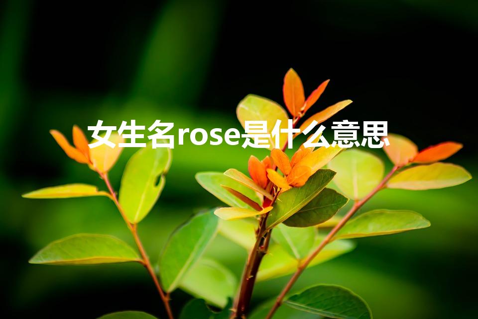 女生名rose是什么意思（rose是什么意思人名）