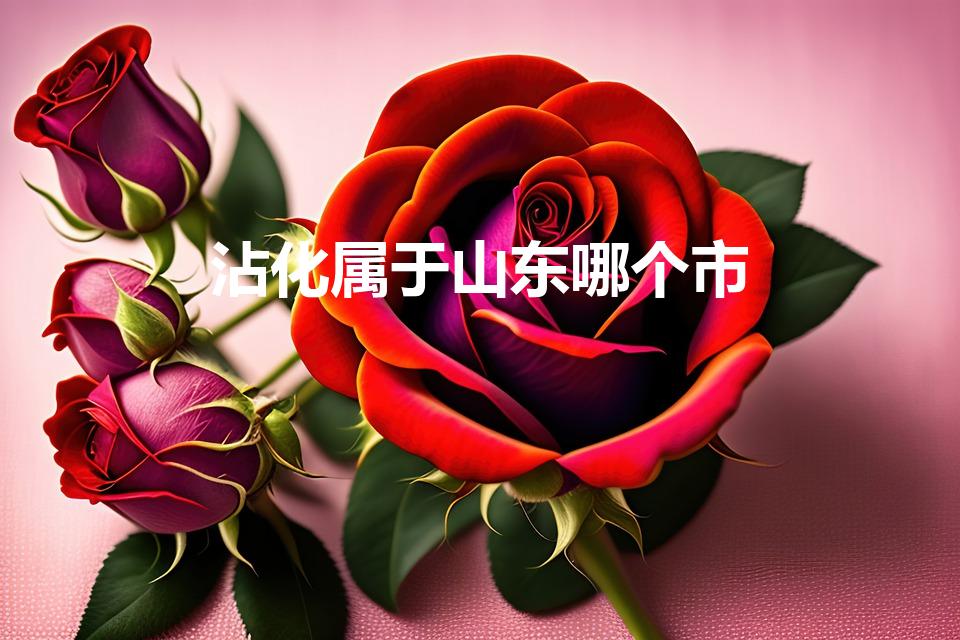 沾化属于山东哪个市（沾化是几线城市）