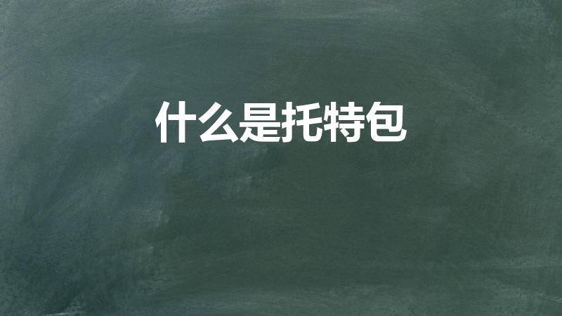 什么是托特包（托特包是什么意思）